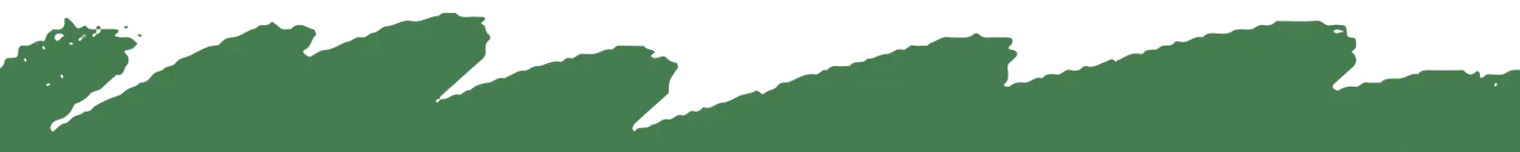 green waves divider graphic