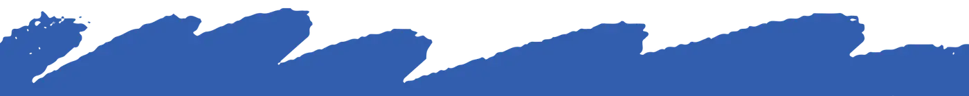 blue wave shape divider