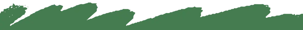 green waves divider graphic