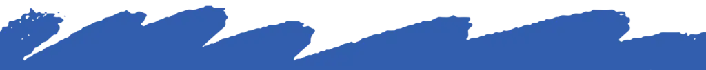 blue wave shape divider